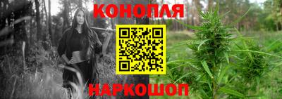 гидропоника Краснокаменск