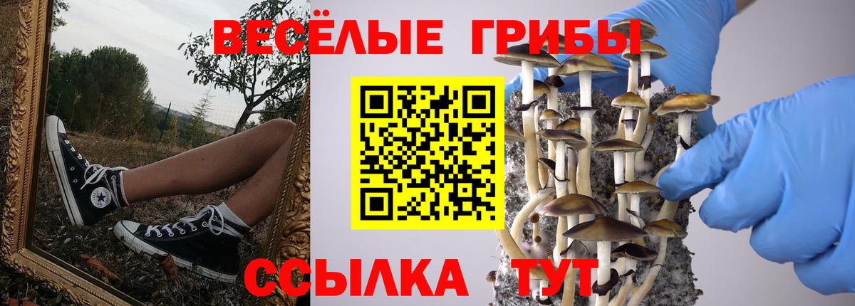 Котовск  Галлюциногенные грибы Magic Shrooms  Вход с VPN 