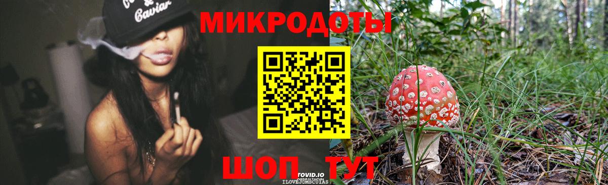 Галлюциногенные грибы прущие грибы Котовск