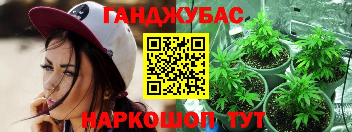 Шишки марихуана SATIVA & INDICA  Вход с VPN  Котовск  Бошки Шишки Amnesia 