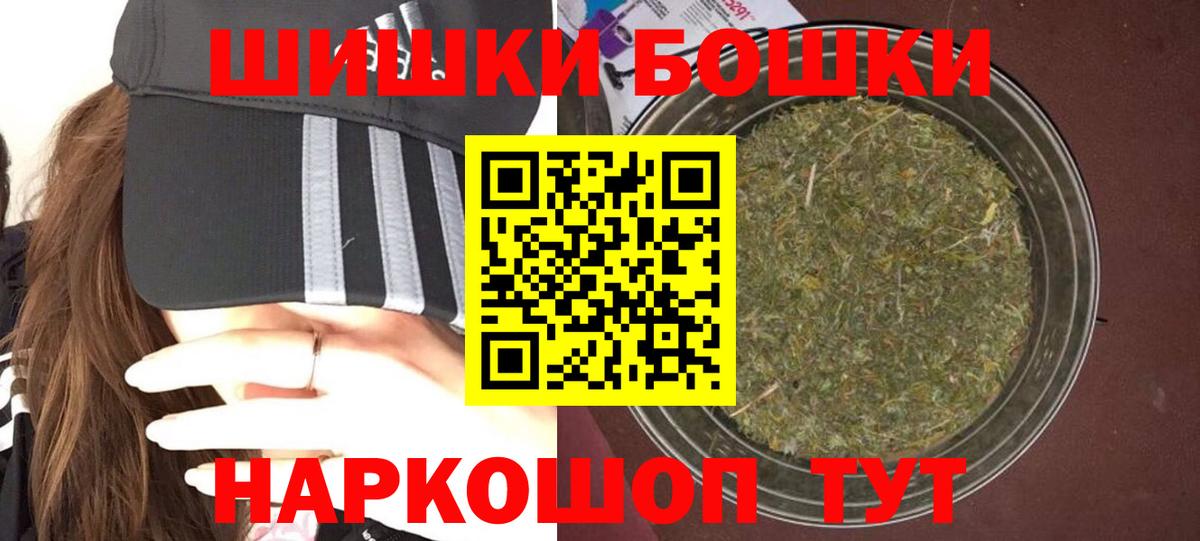 Бошки Шишки планчик Котовск